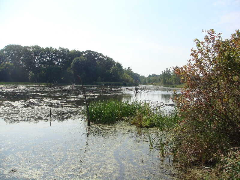 Western Michigan [2009] 376.JPG - Scenes from Frederik Meijer Gardens & Sculpture Park.